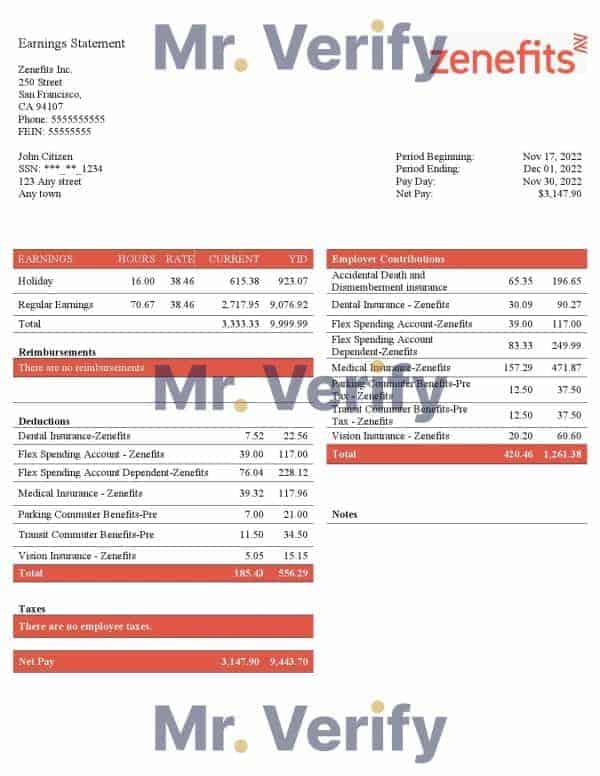 USA Zenefits technology company pay stub Word and PDF template