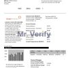 USA Texas Ambit Energy utility bill template in Word and PDF format