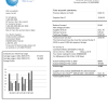 USA Connecticut Light & Power electricity utility bill in Word and PDF format