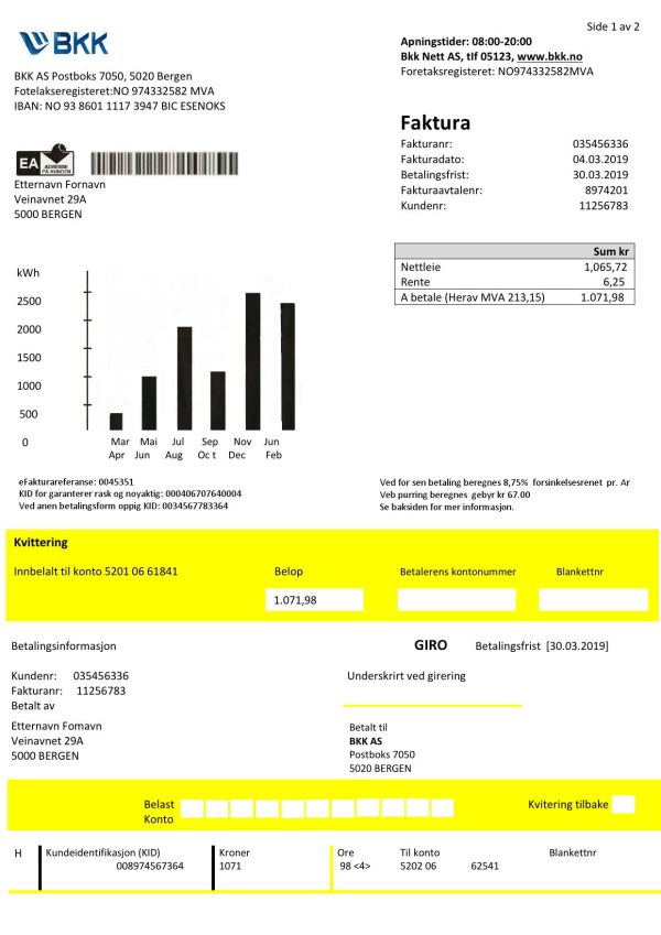 Norway BKK electricity utility bill template in Word and PDF format, good for address prove