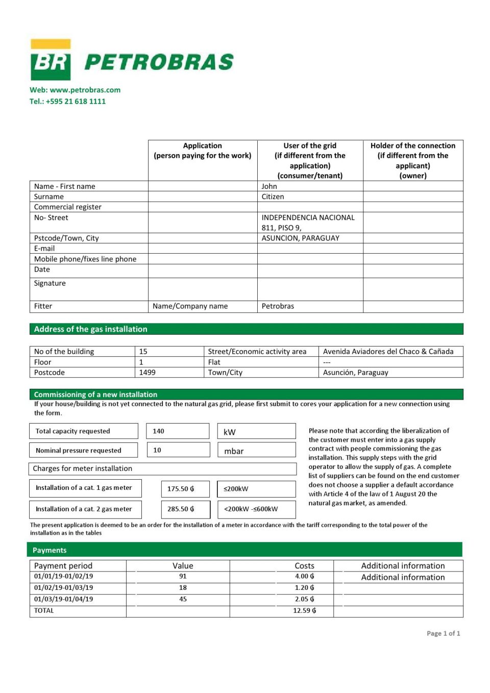Paraguay Petrobras Paraguay Operations and Logistics gas company utility bill template in Word and PDF format