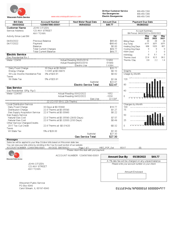 USA American Excelsior distribution company pay stub Word and PDF template