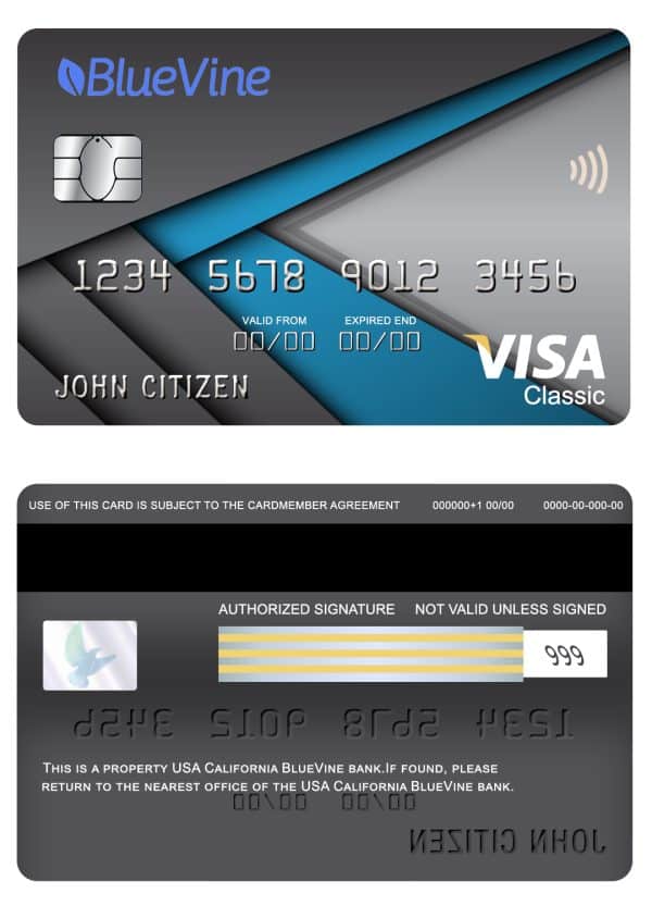 Fillable USA California BlueVine bank visa classic card Templates | Layer-Based PSD