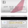 Editable Hong Kong Dah Sing Bank visa card Templates in PSD Format