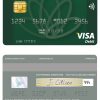 Fillable Jordan Cairo Amman Bank visa card Templates | Layer-Based PSD