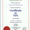Fake Intesol TEFL Certificate PSD Template