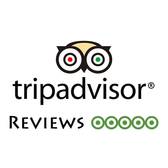 purchase tripadvisor review