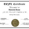 Fake TEFL Certificate PSD Template