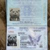 Fake USA Passport PSD Template version 2023