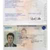 france passport template psd free download