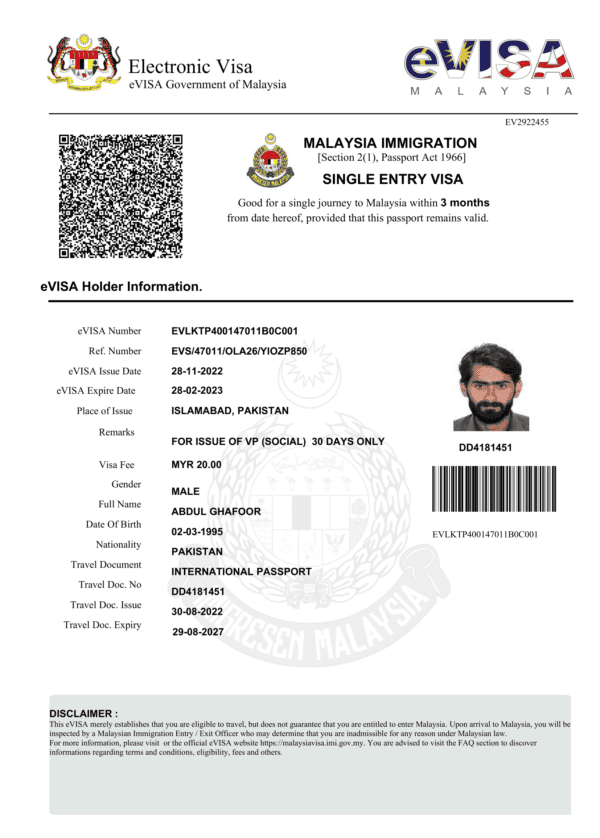 Malaysia e-visa Word and PDF template