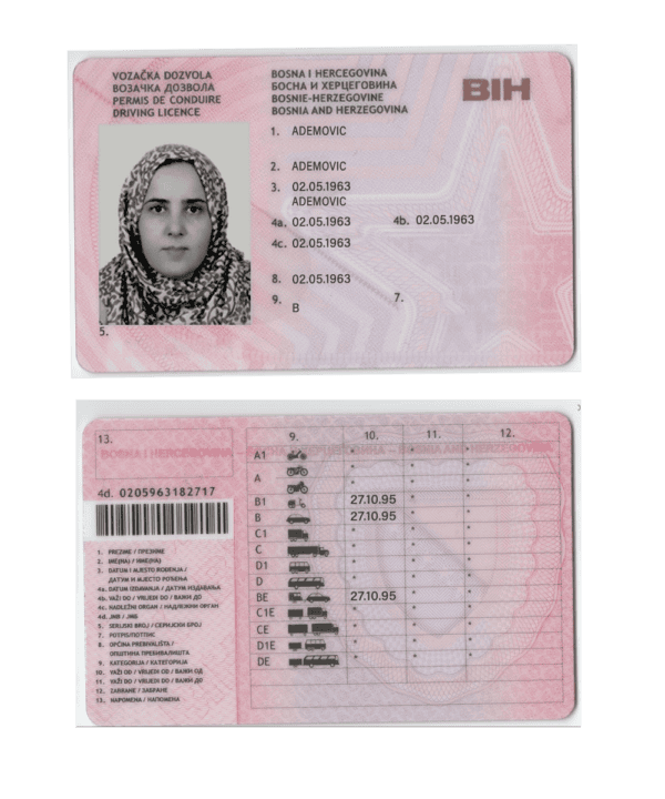 Bosnia and Herzegovina driver license PSD file