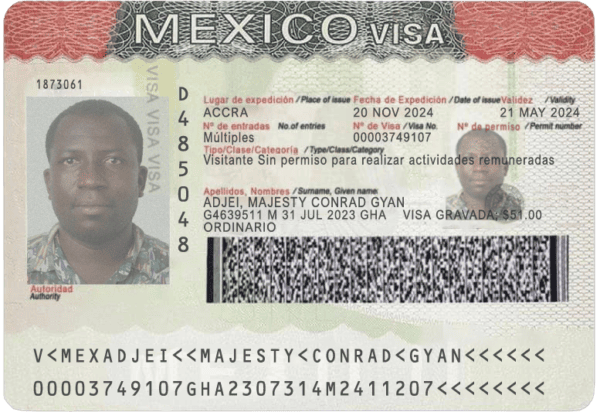 Mexico tourist visa PSD template, High Quality