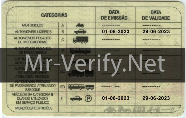 Cabo Verde driver license back template - Cabo Verde driver license PSD template