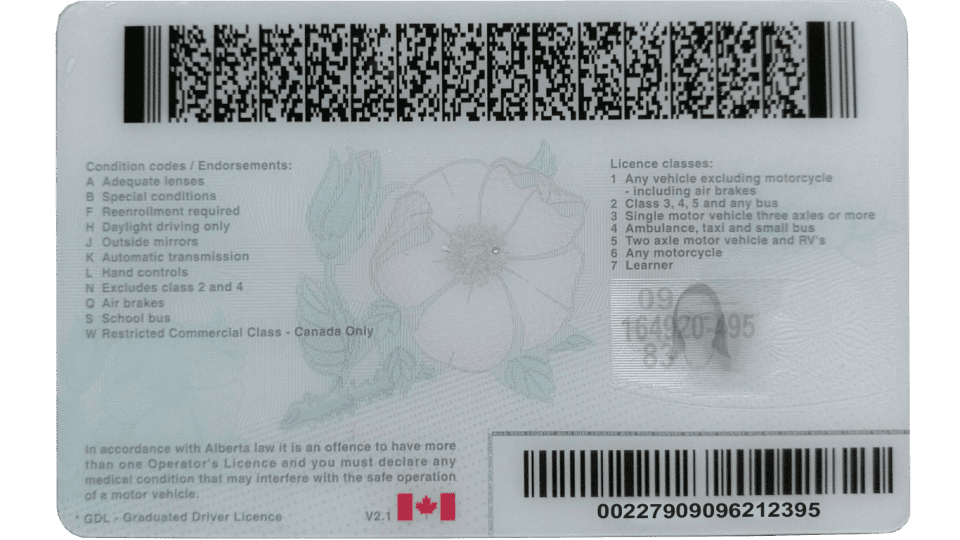 Canada Alberta driver license psd template