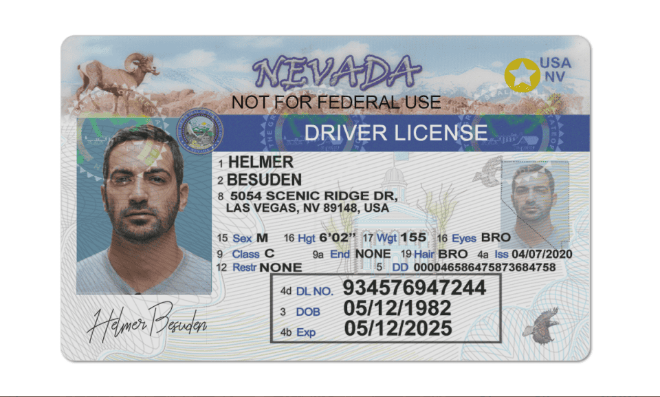 Nevada driver license psd template