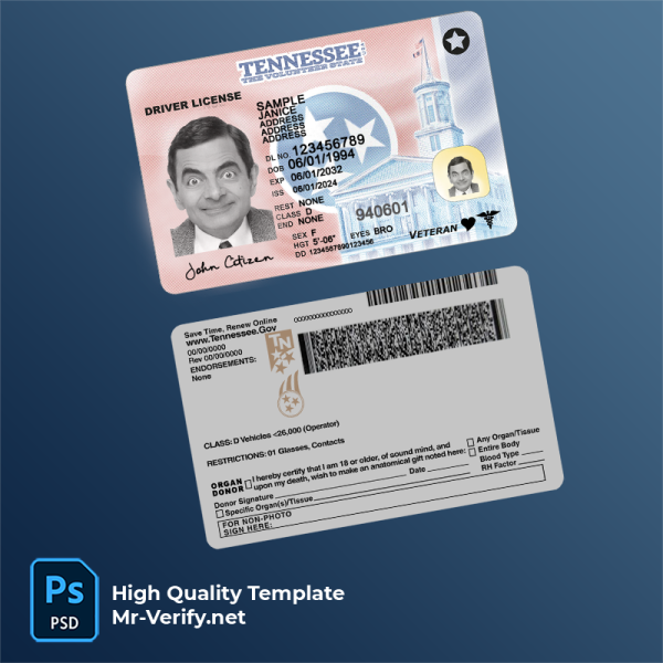 USA Tennessee driving license 2024-present photolook Explore Our Tennessee Driver License PSD Template