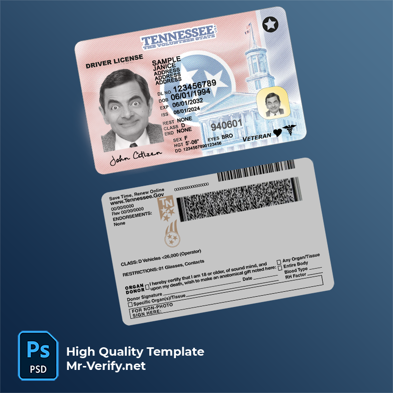 USA Tennessee driving license 2024-present photolook Explore Our Tennessee Driver License PSD Template