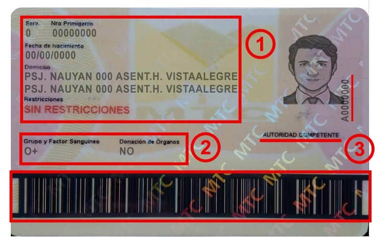 customize peru driver license with ease - peru driver license psd template