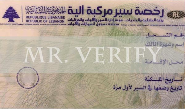 lebanon dl back template - Lebanon driver license Psd Template