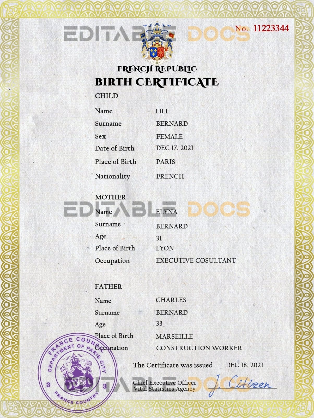 Authentic France Birth Certificate Template | Customize and Download Online