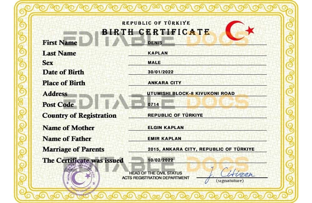 Authentic Turkey Birth Certificate Template | Customize and Download Online