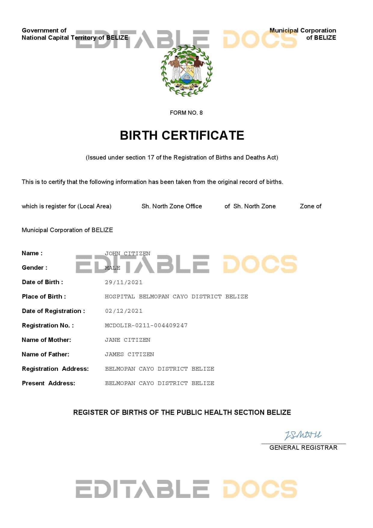 Authentic Belize Birth Certificate Template | Customize and Download Online
