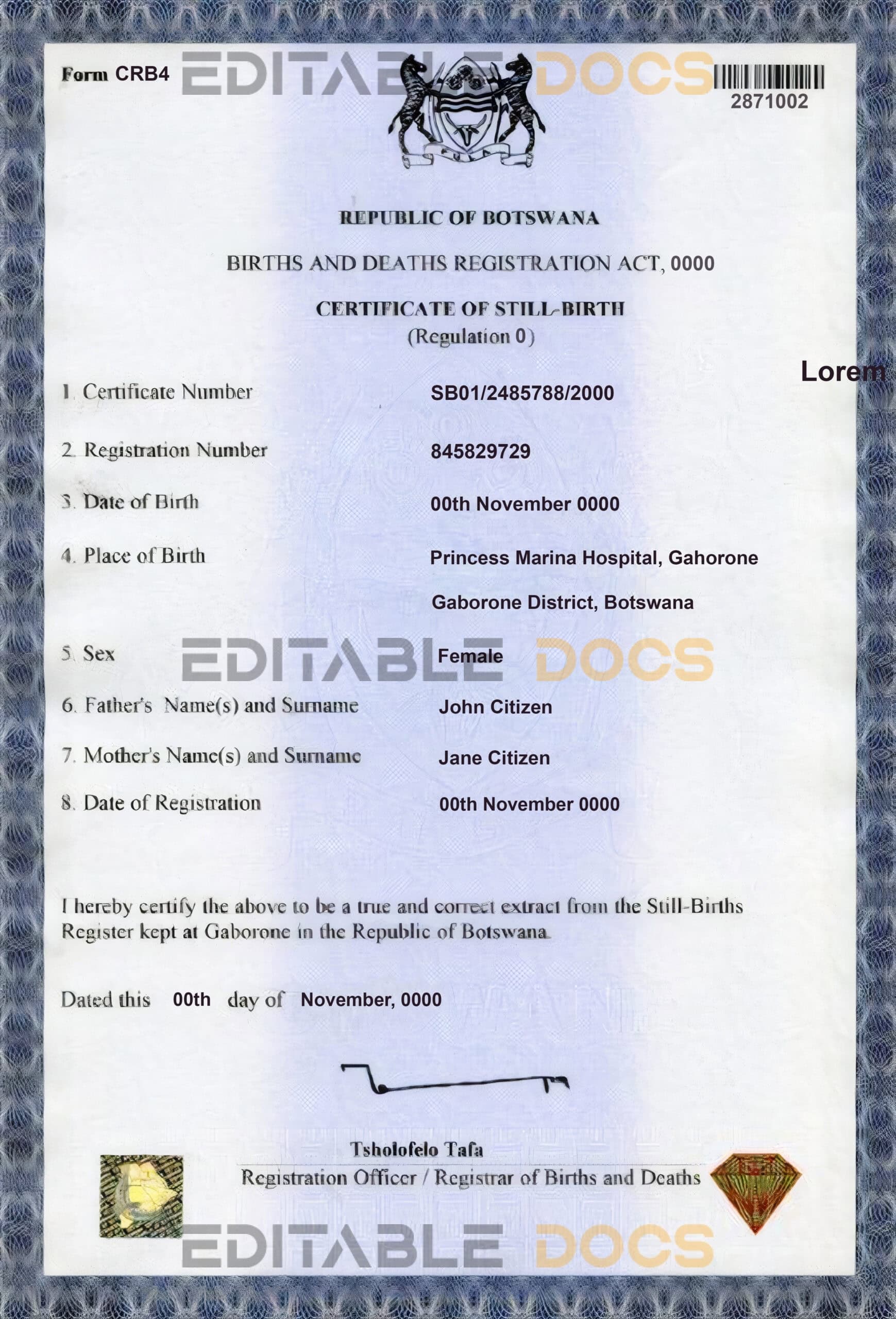 Authentic Botswana Birth Certificate Template | Customize and Download Online