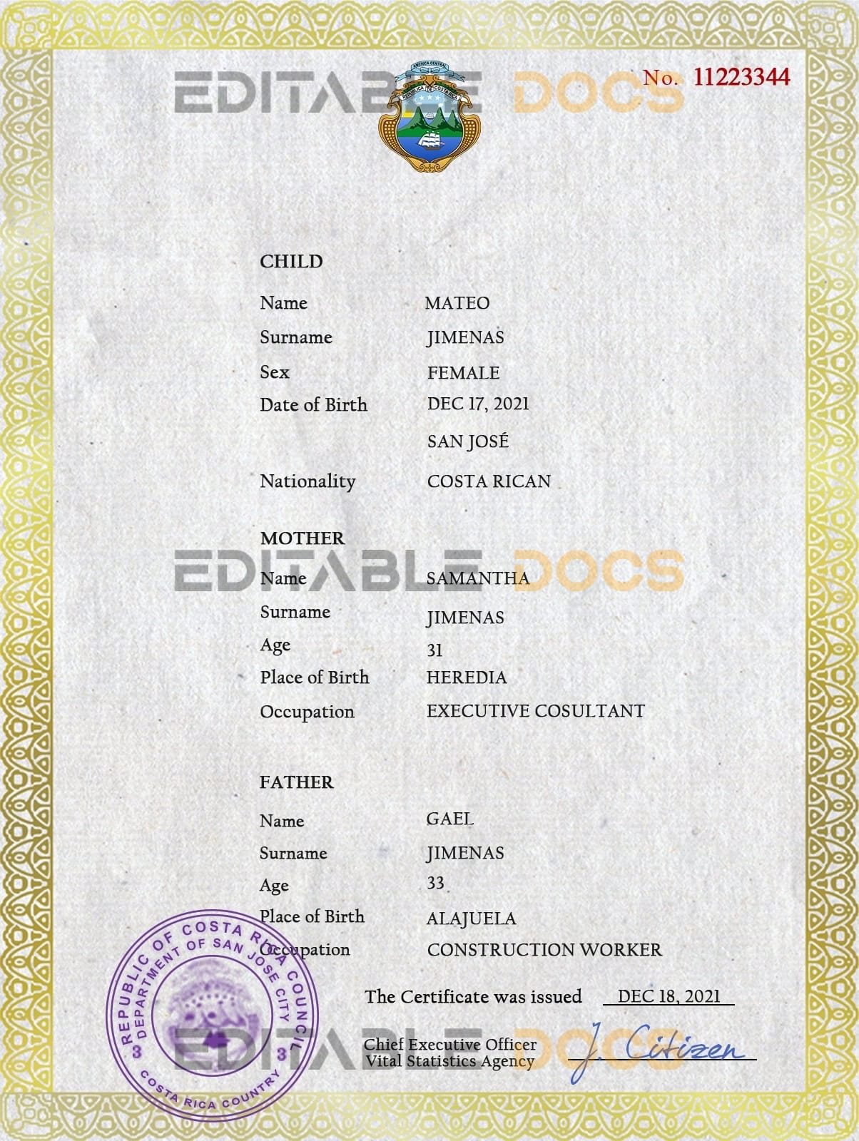 Authentic Costa Rica Birth Certificate Template | Customize and Download Online