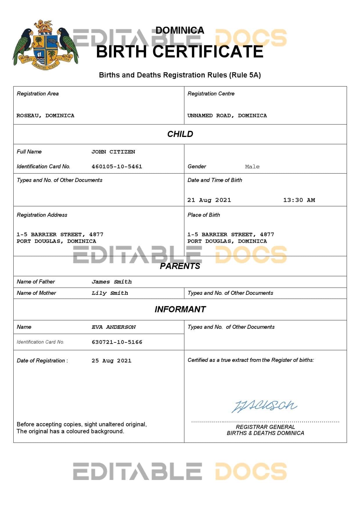 Authentic Dominica vital record Birth Certificate Template | Customize and Download Online