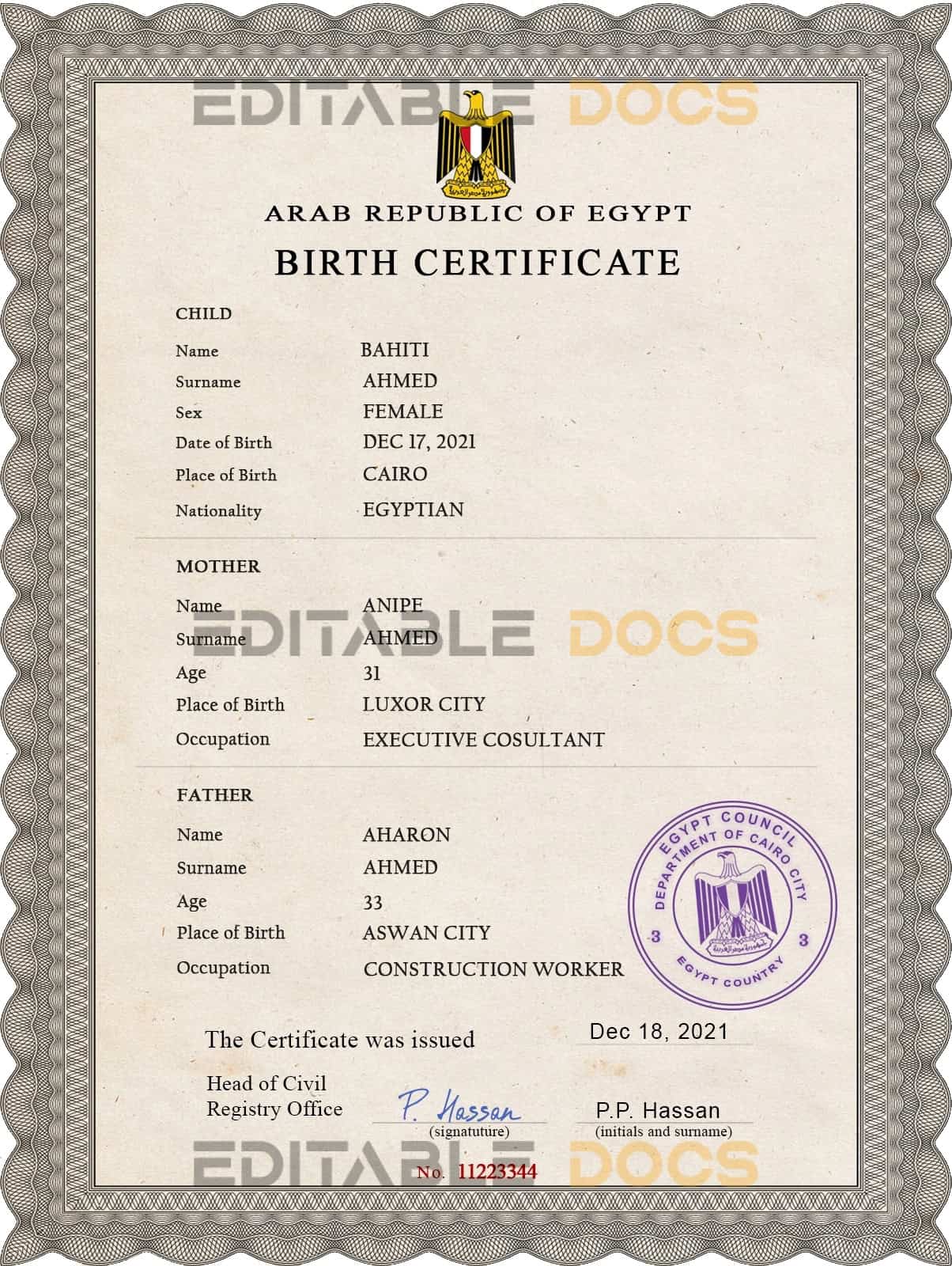 Authentic Egypt Birth Certificate Template | Customize and Download Online
