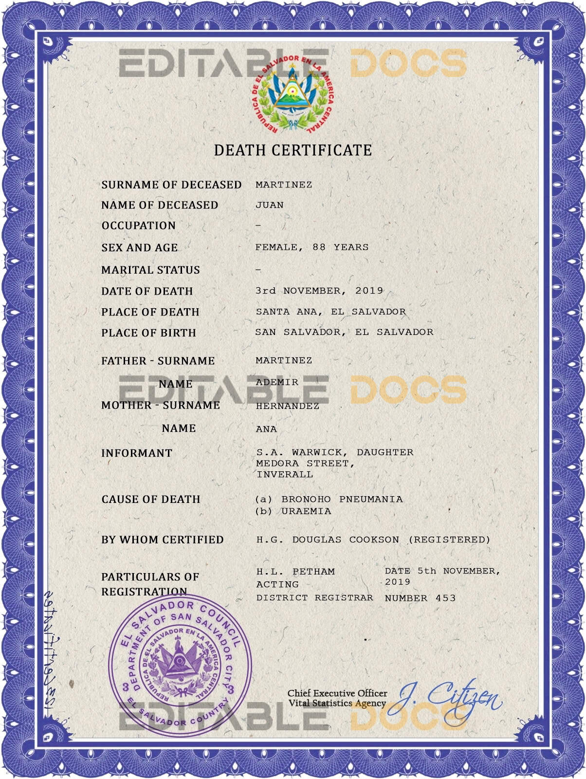 Customizable El Salvador Death Certificate PSD Templates | Instant Download