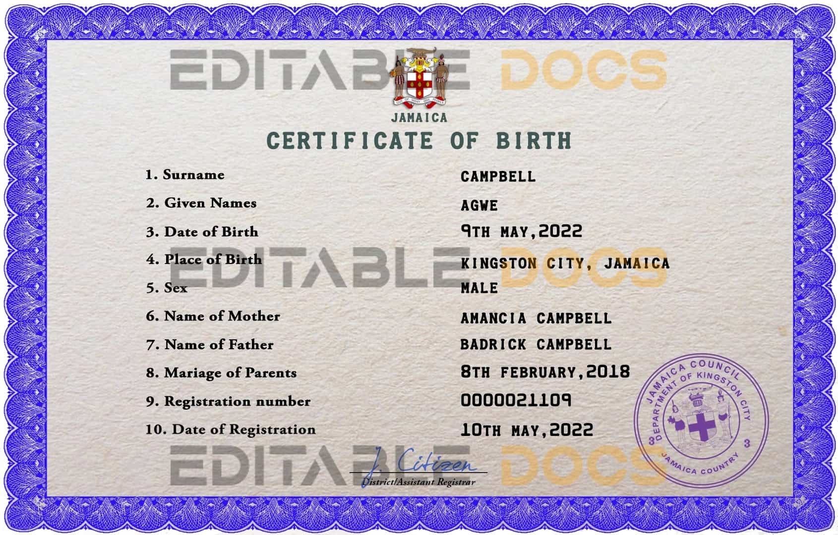 Authentic Jamaica Birth Certificate Template | Customize and Download Online