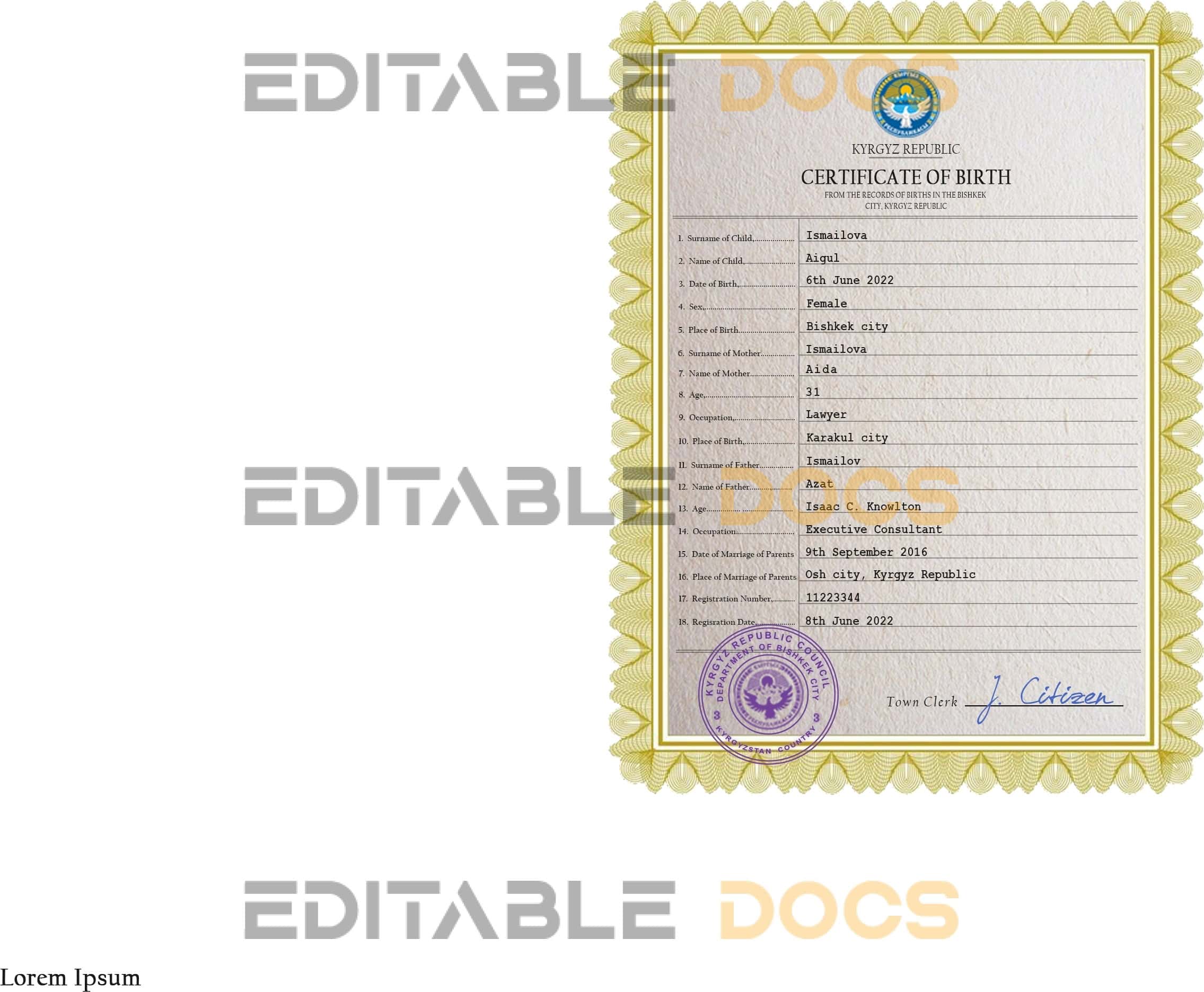 Authentic Kyrgyzstan Birth Certificate Template | Customize and Download Online