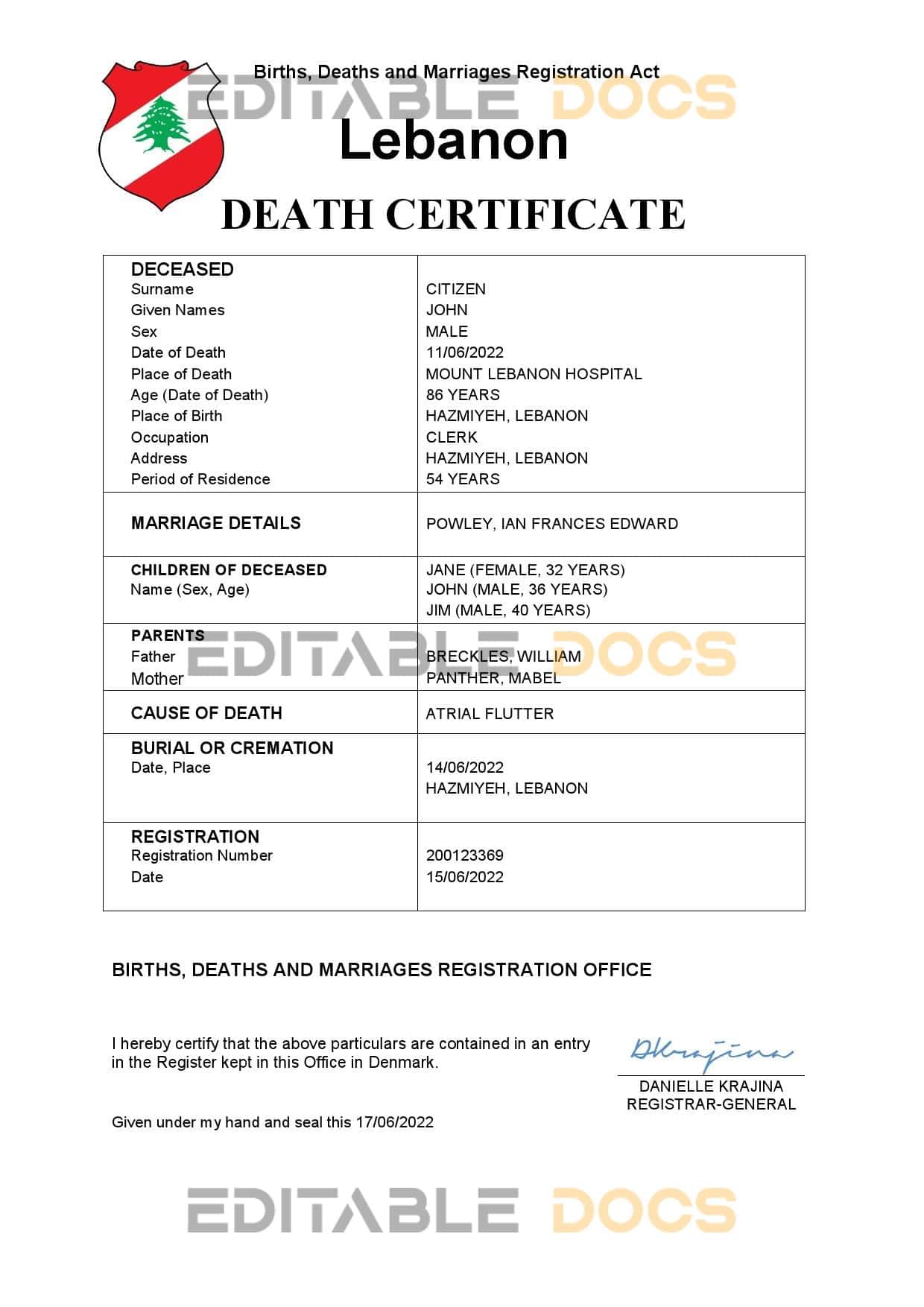Fillable Lebanon Death PDF Templates | Blank Docs