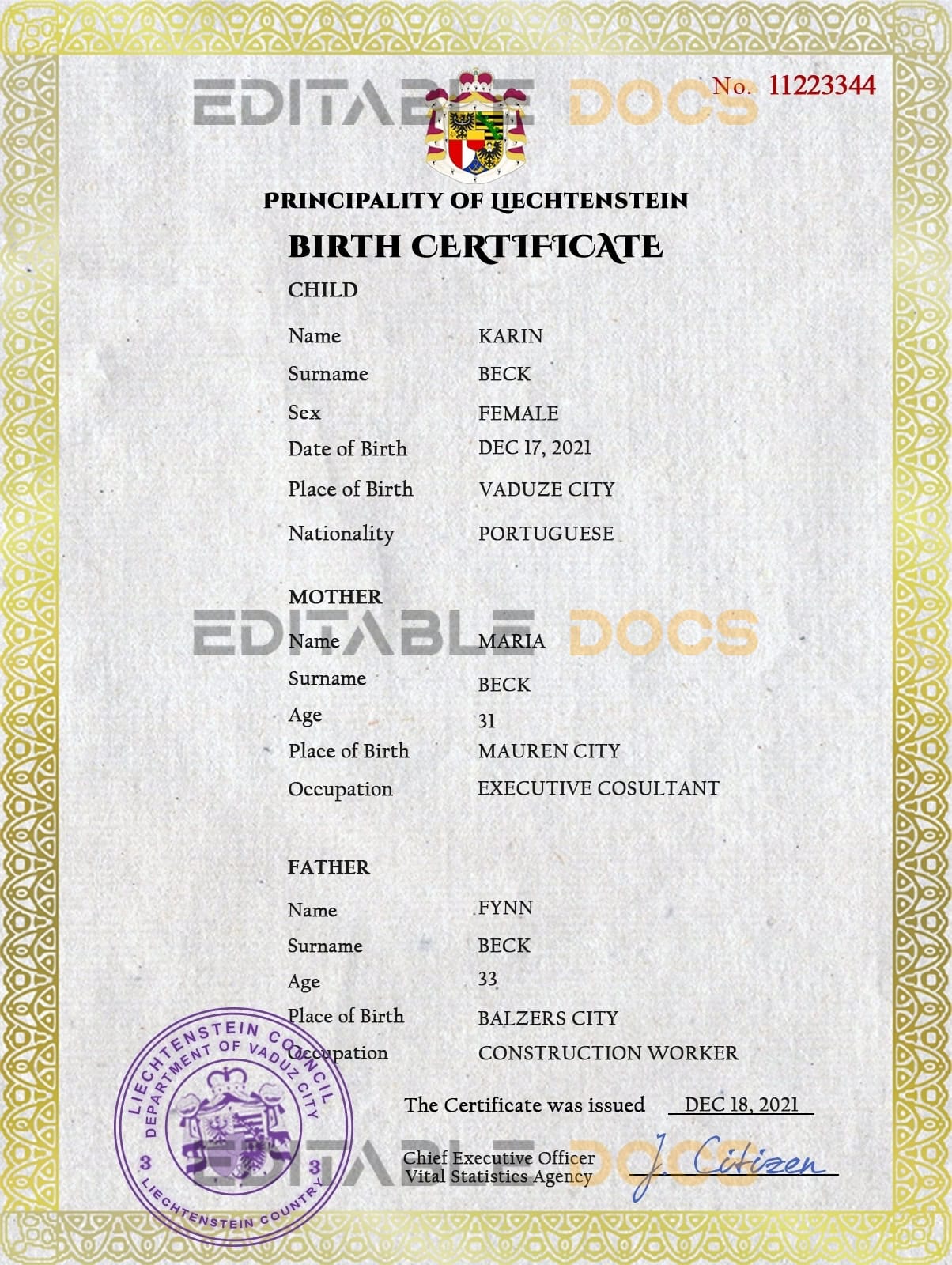 Authentic Liechtenstein Birth Certificate Template | Customize and Download Online