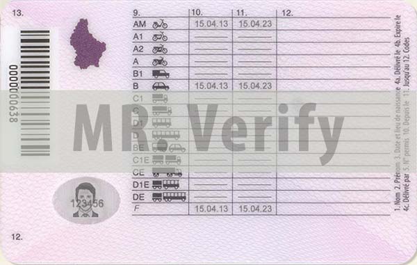 Luxembourg dl back template - Luxembourg driver license psd template