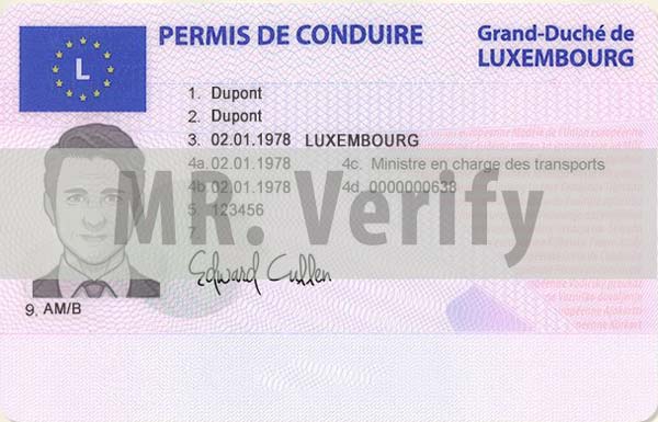 Luxembourg dl front template - Luxembourg driver license psd template
