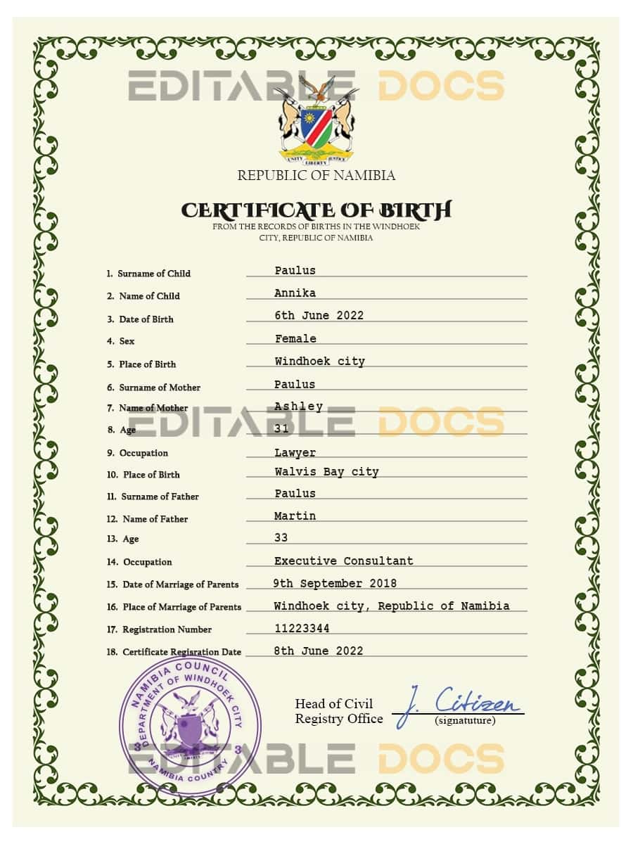 Authentic Namibia Birth Certificate Template | Customize and Download Online