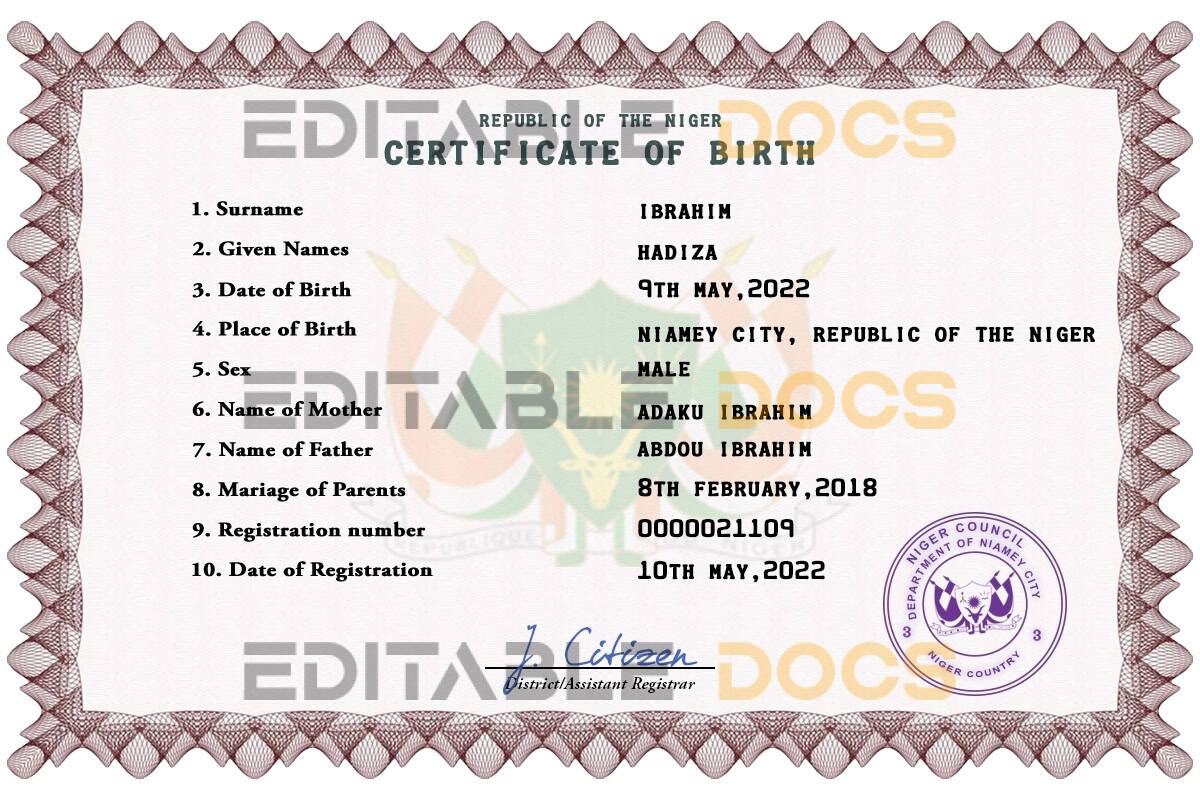 Authentic Niger Birth Certificate Template | Customize and Download Online