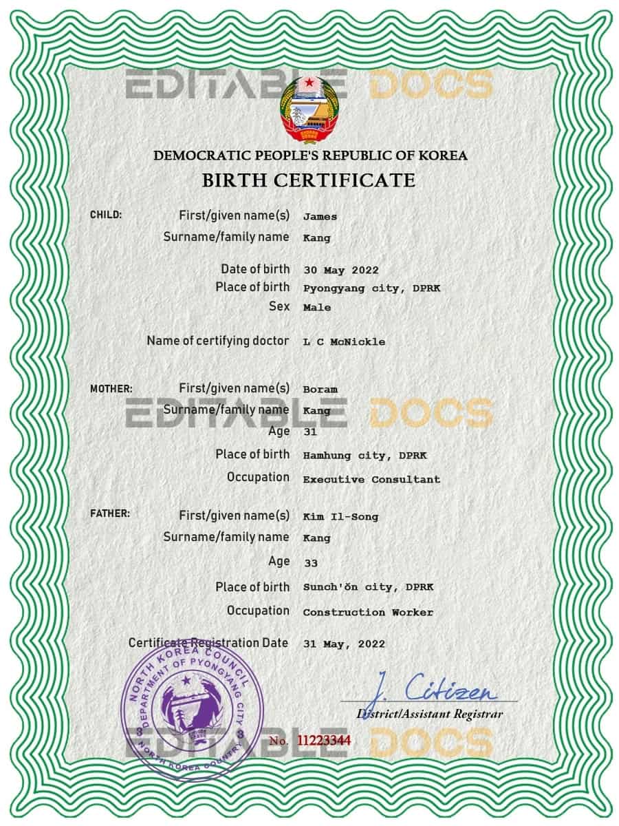 Authentic North Korea Birth Certificate Template | Customize and Download Online