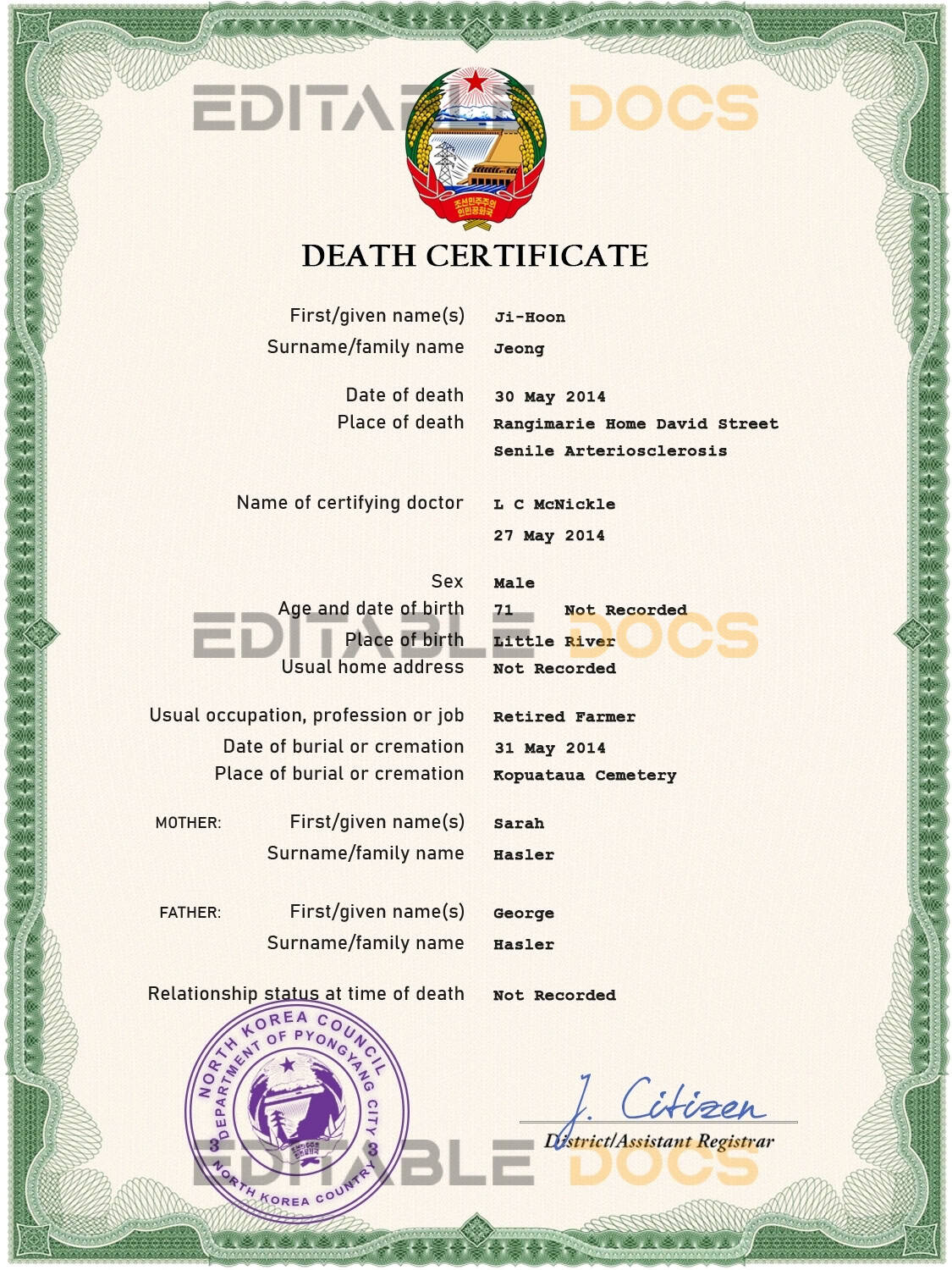 Customizable North Korea Death Certificate PSD Templates | Instant Download (Copy)