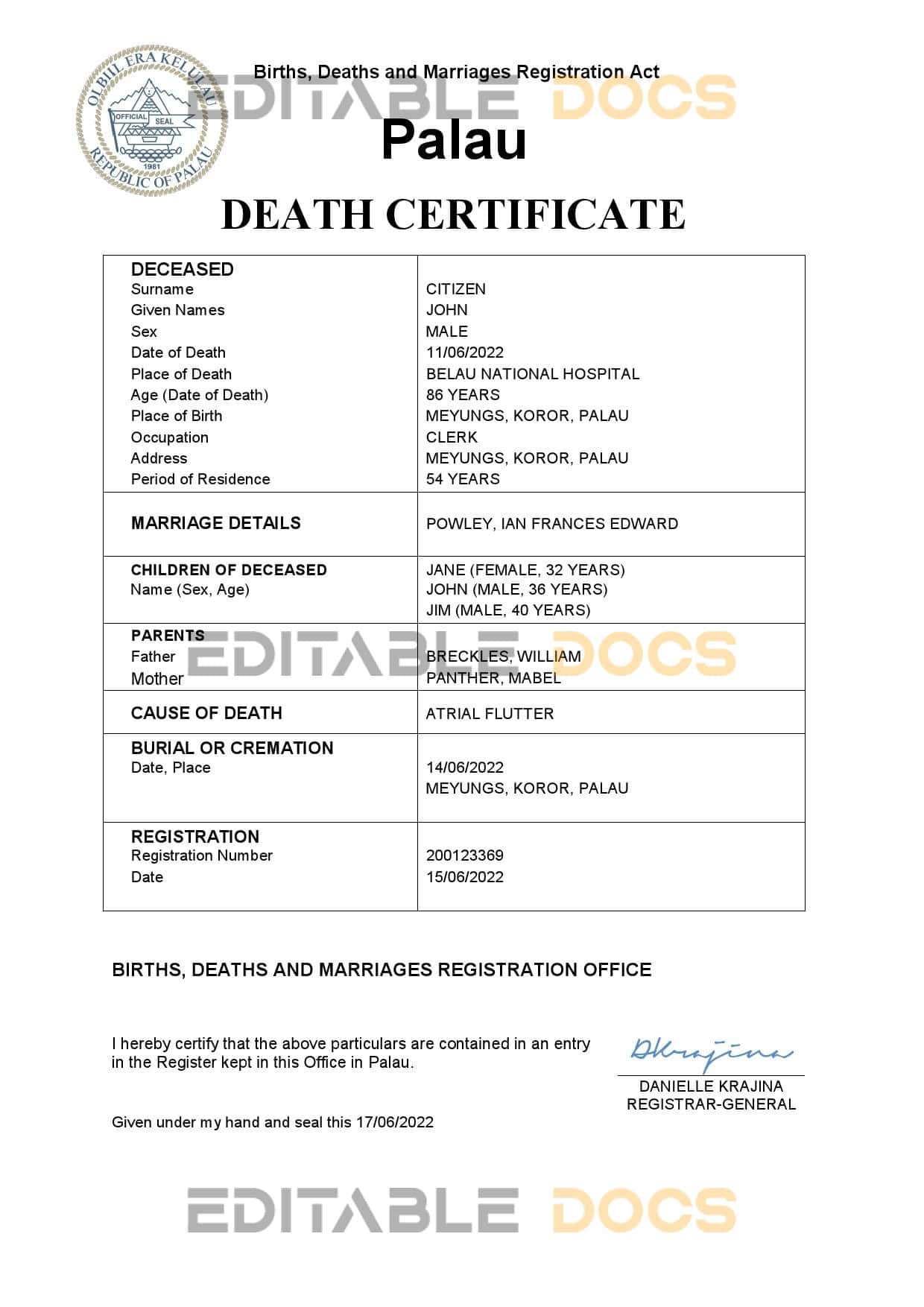 Fillable Palau Death PDF Templates | Blank Docs