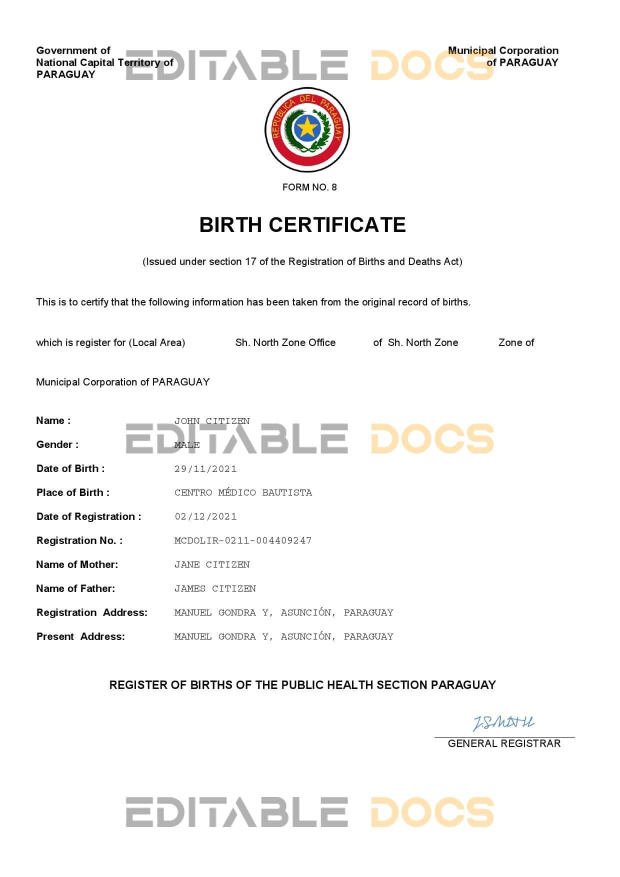 Authentic Paraguay Birth Certificate Template | Customize and Download Online