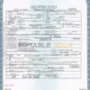 Authentic USA Texas Birth Certificate Template | Customize and Download Online Authentic USA Texas Birth Certificate Template | Customize and Download Online
