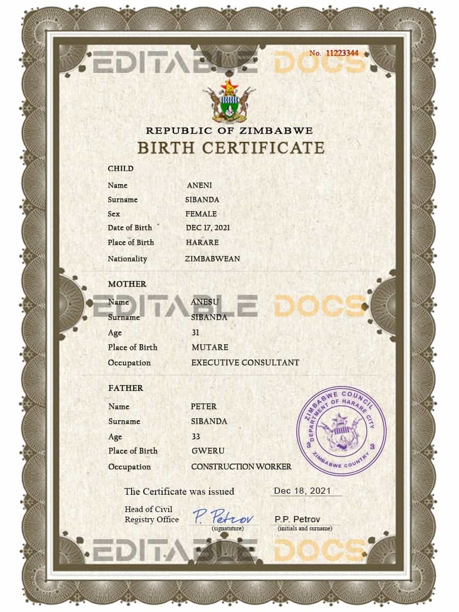 Authentic Zimbabwe Birth Certificate Template | Customize and Download Online