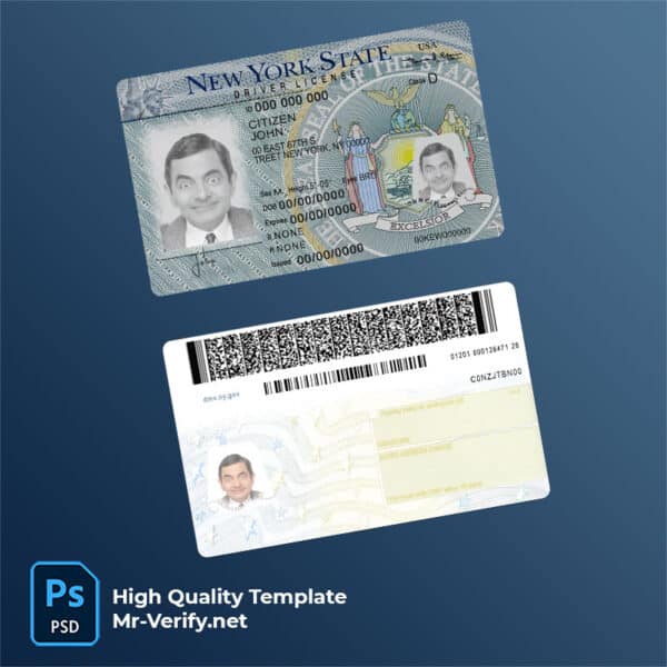 New York driver license Psd Template
