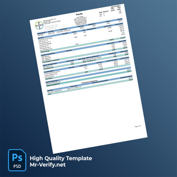 Bayer pay stub word and pdf template