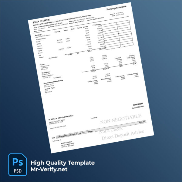 Double R Brand Foods LLC (STAFF) earning statement word and pdf template