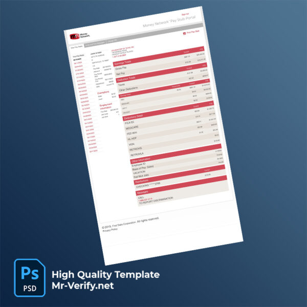Money Network pay stub word and pdf template
